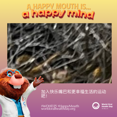 470cb789d9446e50ee4a0f0a67f46e31.png