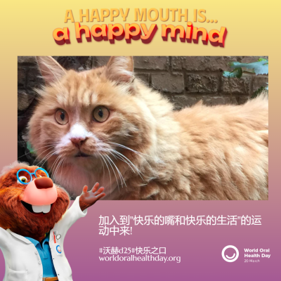 e05ec91b5b7c27642a8549e746d7d3c5.png