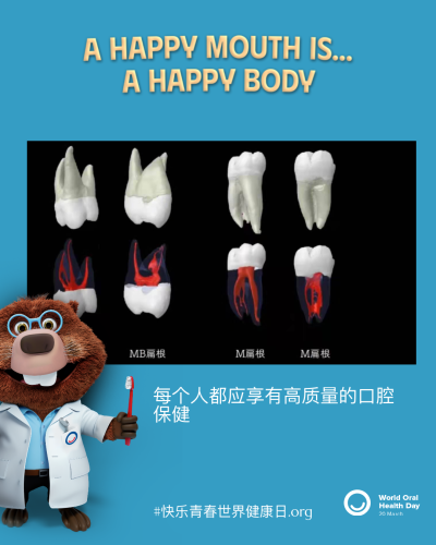e85060be98f5e966361ea8cc71b7541c.png